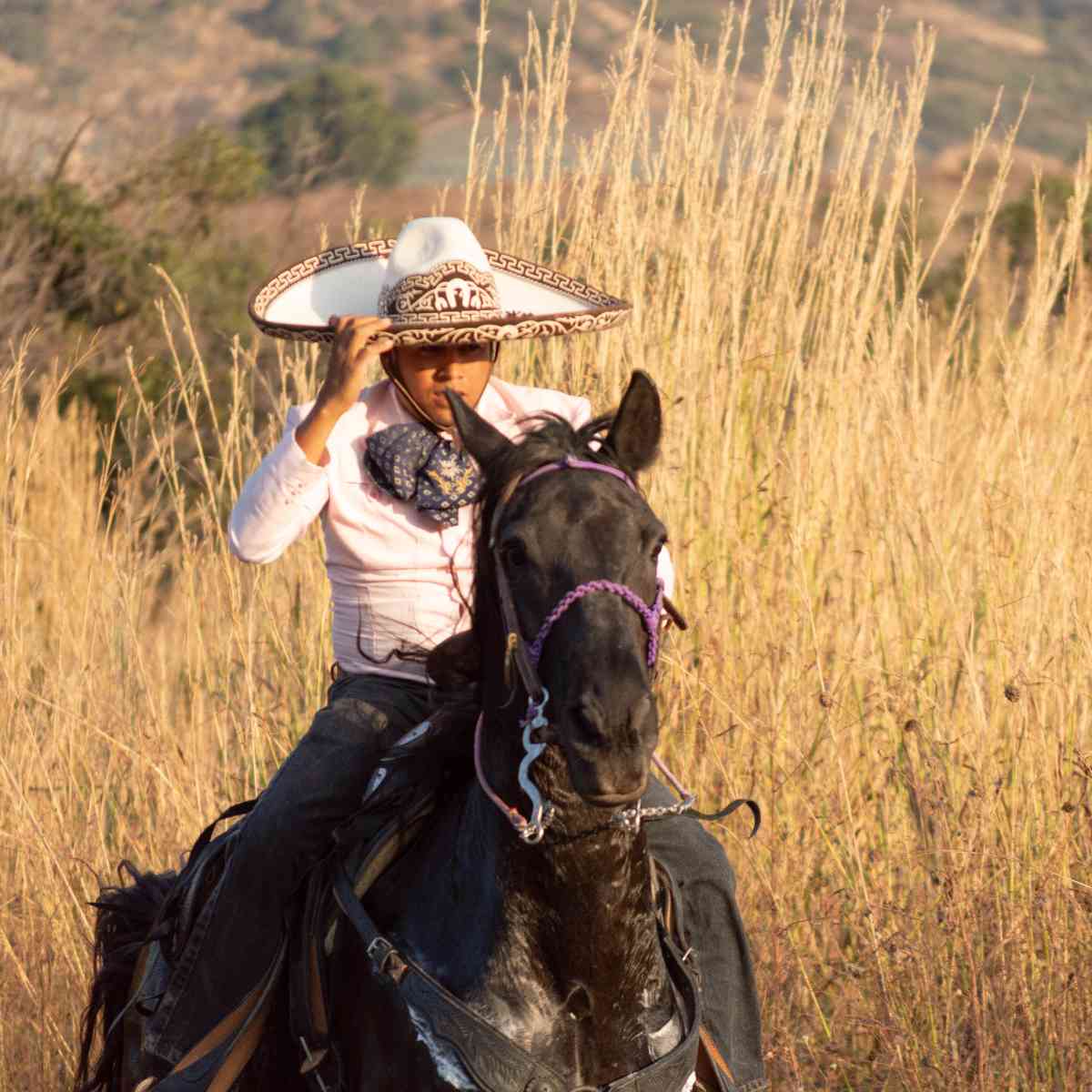Cabalgata en el Arenal