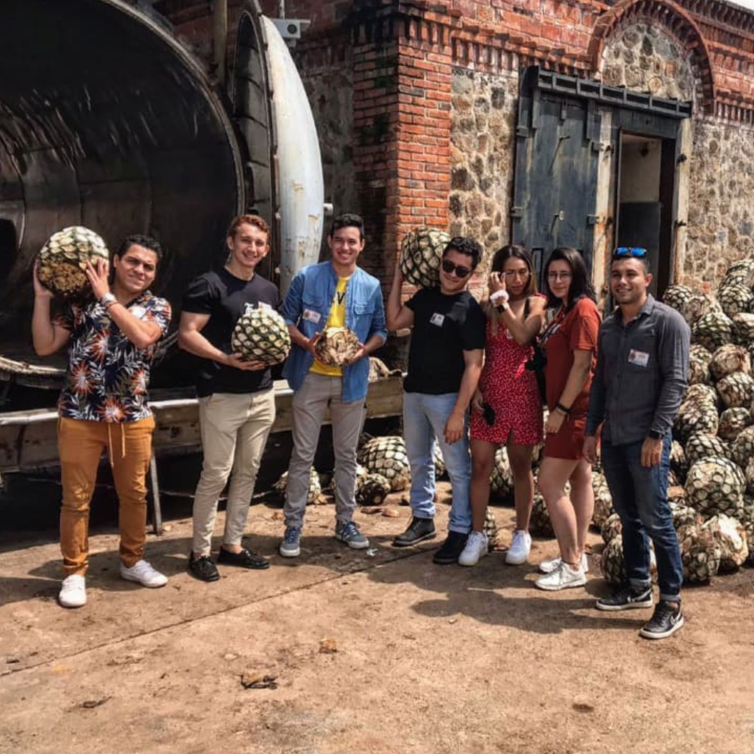 Tour Tequila Plus - Destilerías premium